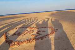IMG-20241216-WA0017