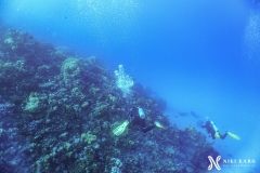 PSX_20241210_170815