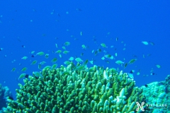 PSX_20241212_175619