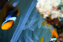 PSX_20241213_170001