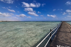 PSX_20241214_142545