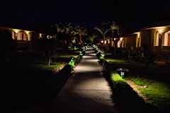 PSX_20241216_182147