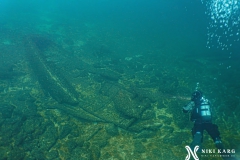 PSX_20250425_140404-topaz-denoise