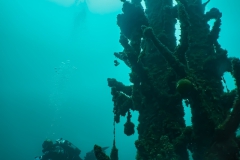 PSX_20250426_170206-topaz-sharpen