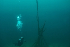 PSX_20250426_170417-topaz-denoise-sharpen