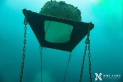 PSX_20250426_170656-topaz-denoise-sharpen