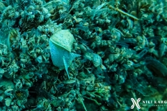 PSX_20250426_170828-topaz-enhance-2.5x