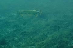 PSX_20250426_170952-topaz-enhance-2.2x