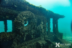 PSX_20250426_171735-topaz-denoise-sharpen