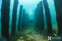 PSX_20250426_172050-topaz-sharpen