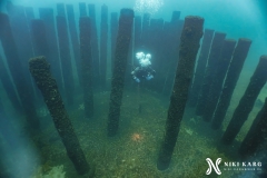 PSX_20250426_172309-topaz-denoise