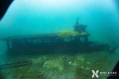 PSX_20250426_173046-topaz-denoise