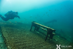 PSX_20250426_173542-topaz-denoise-sharpen