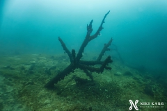 PSX_20250426_173713-topaz-denoise-sharpen