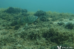 PSX_20250426_173825-topaz-enhance-1.6x