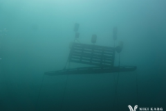 PSX_20250426_173916-topaz-sharpen