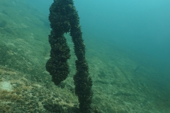 PSX_20250426_174023-topaz-sharpen