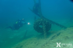 PSX_20250426_174131-topaz-sharpen