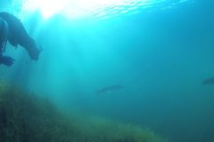 GOPR0061_Moment2