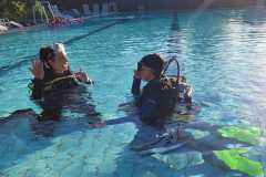 IMG-20250626-WA0029