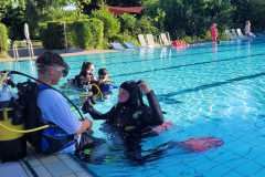 IMG-20250626-WA0030