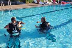 IMG-20250626-WA0034